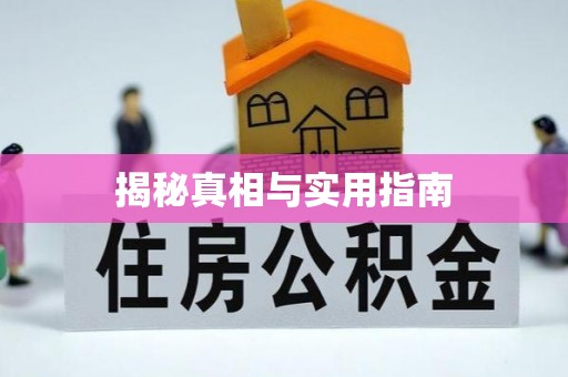 岳西揭秘真相与实用指南