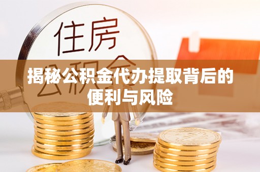 岳西揭秘公积金代办提取背后的便利与风险
