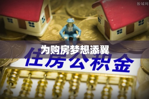 岳西为购房梦想添翼