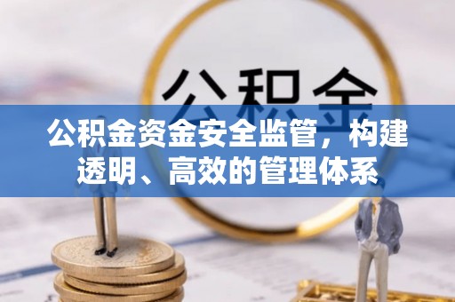 岳西公积金资金安全监管，构建透明、高效的管理体系