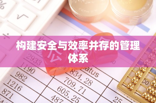 岳西构建安全与效率并存的管理体系