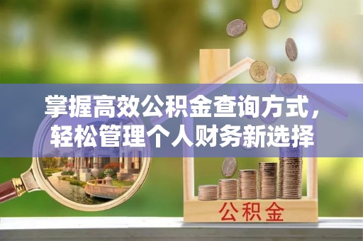 岳西掌握高效公积金查询方式，轻松管理个人财务新选择