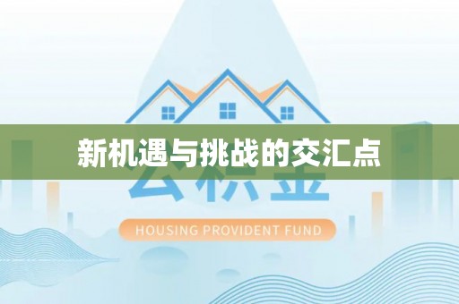 岳西新机遇与挑战的交汇点