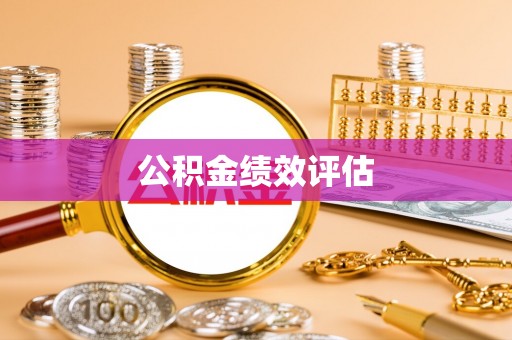 岳西公积金绩效评估