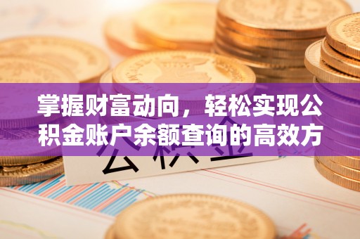 岳西掌握财富动向，轻松实现公积金账户余额查询的高效方式