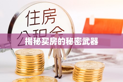 岳西揭秘买房的秘密武器