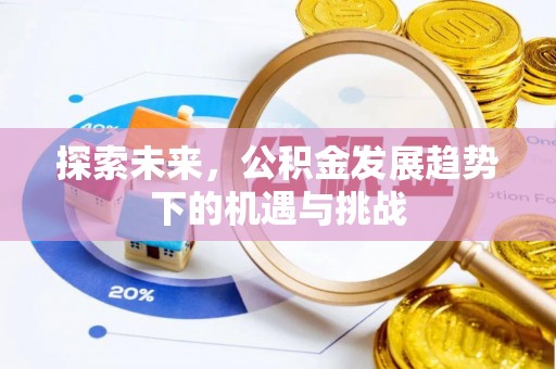 岳西探索未来，公积金发展趋势下的机遇与挑战