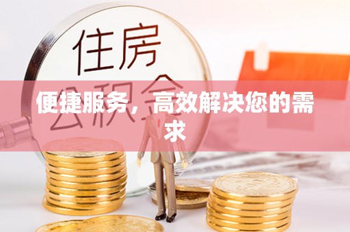 岳西便捷服务，高效解决您的需求