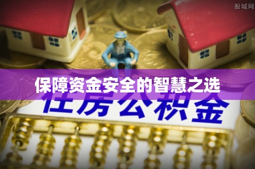 岳西保障资金安全的智慧之选