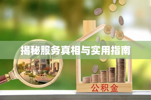 岳西揭秘服务真相与实用指南