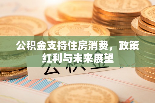 岳西公积金支持住房消费，政策红利与未来展望