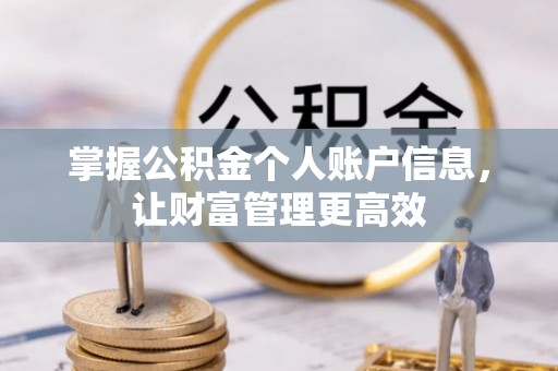 岳西掌握公积金个人账户信息，让财富管理更高效
