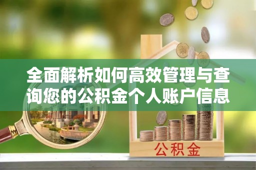 岳西全面解析如何高效管理与查询您的公积金个人账户信息