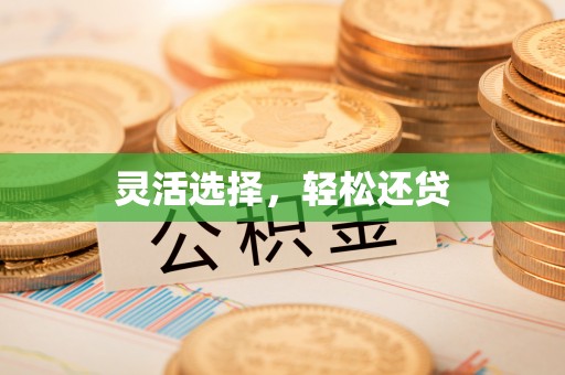岳西灵活选择，轻松还贷