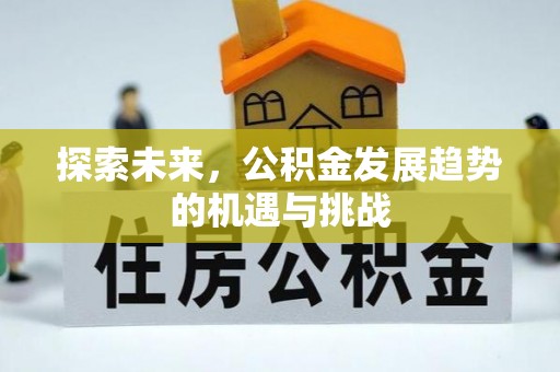 岳西探索未来，公积金发展趋势的机遇与挑战
