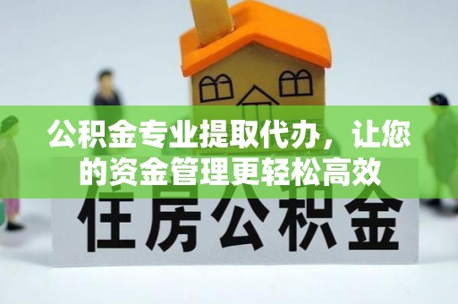 岳西公积金专业提取代办，让您的资金管理更轻松高效