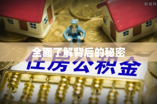 岳西全面了解背后的秘密