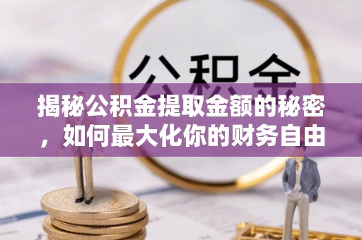 岳西揭秘公积金提取金额的秘密，如何最大化你的财务自由