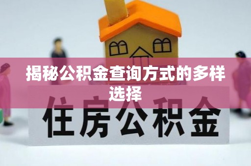 岳西揭秘公积金查询方式的多样选择